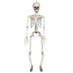 Skeleton dekorácia na zavesenie, 91 cm